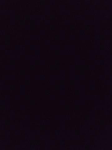 Стелла Сладкая Встреча фото 2